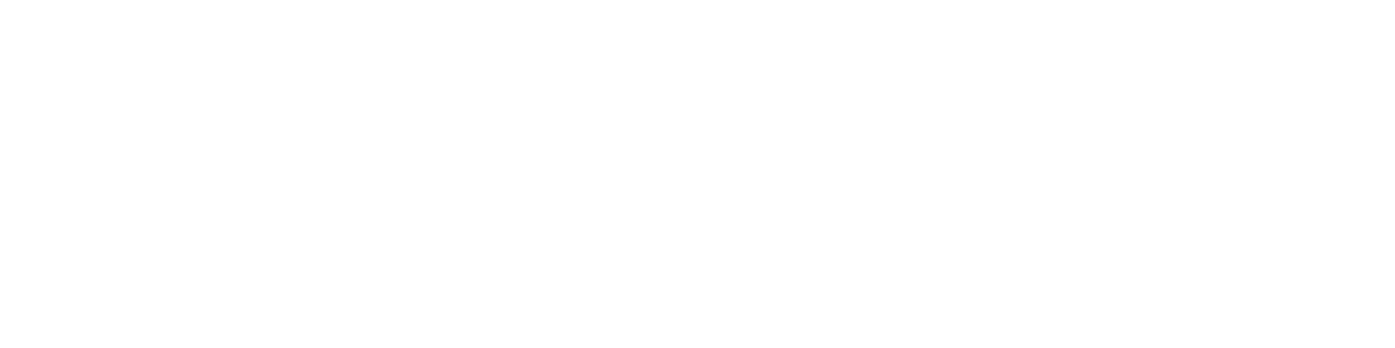 Fininvest Logo